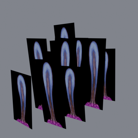 Thumbnail of o_1obca