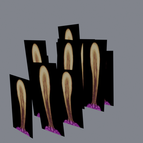 Thumbnail of o_3obcb