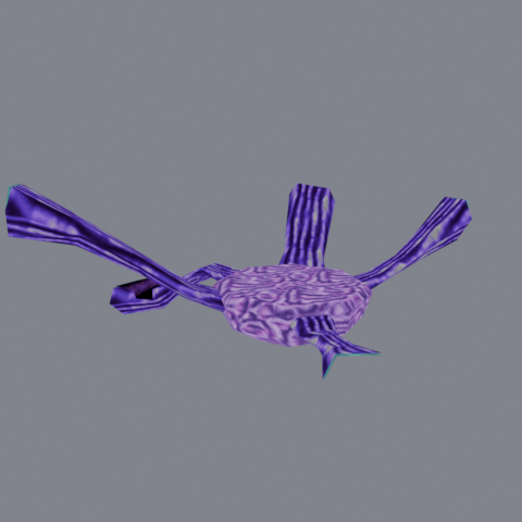 Thumbnail of o_d72brain